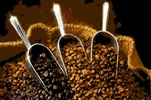 Roasted Coffee Beans